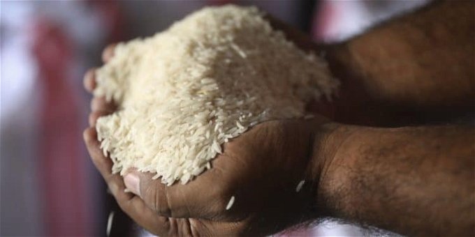 سعر الأرز الشعير اليوم في مصر