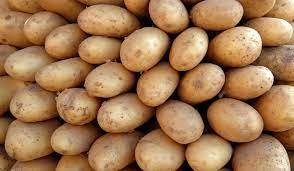 تصنيع البطاطس